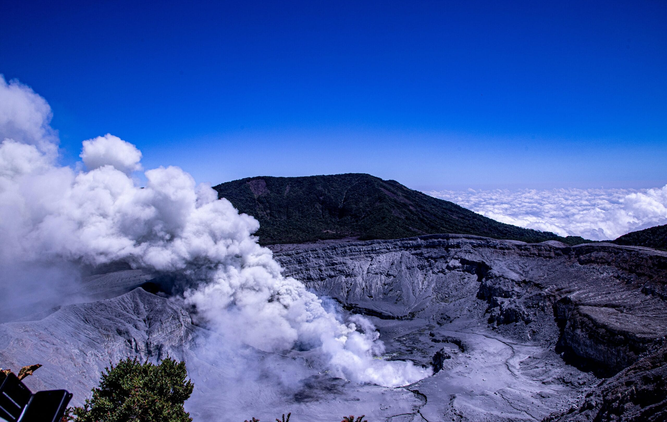 The Importance of Environmental Science: Research and Solutions for a Sustainable Future