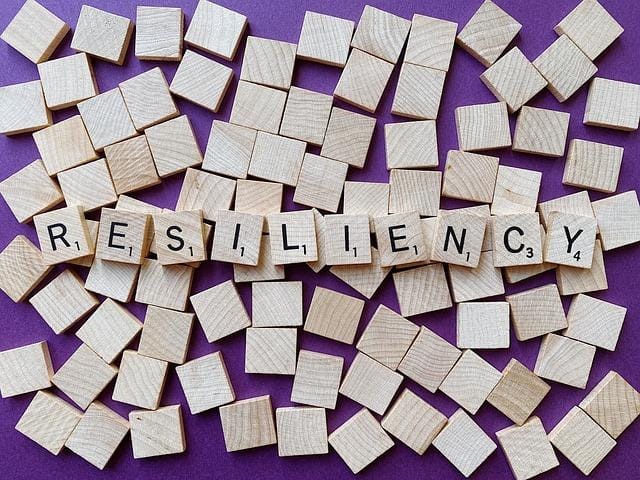 Building Emotional Resilience Through Mindful Coping Strategies